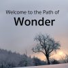 Welcome to The Path of Wonder